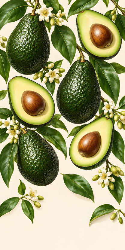 Avocados fridge wrap full design