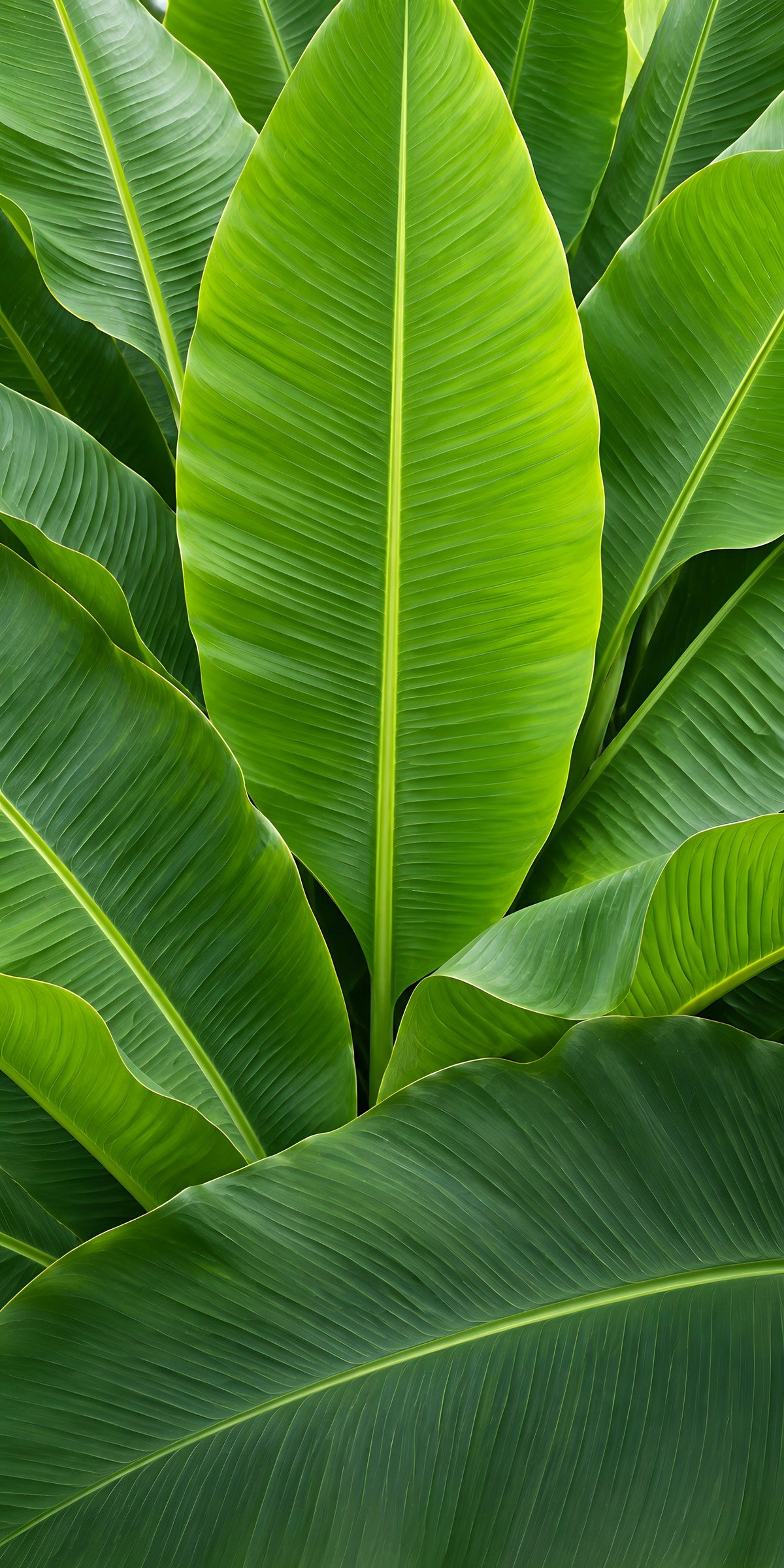 Banana Leaves fridge wrap full design