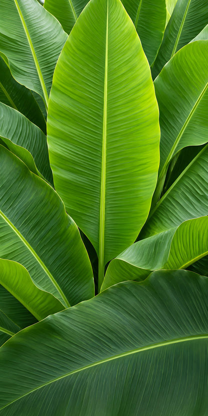 Banana Leaves fridge wrap full design
