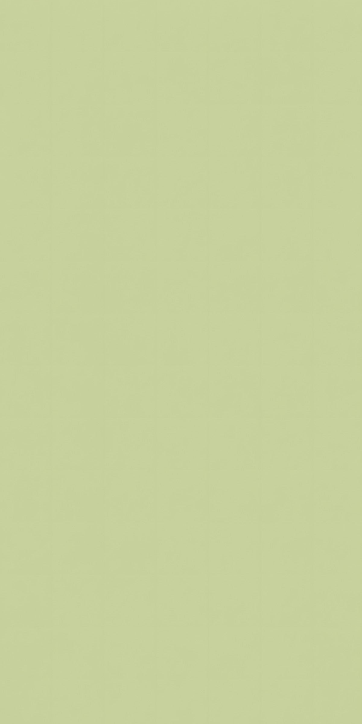 Celery Green fridge wrap full design