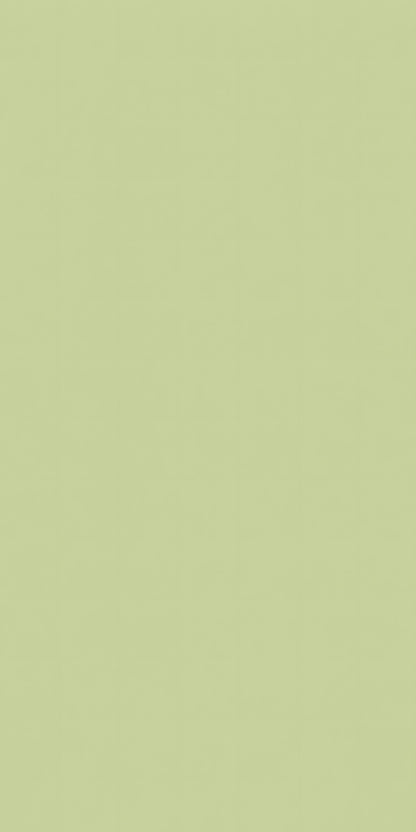 Celery Green fridge wrap full design