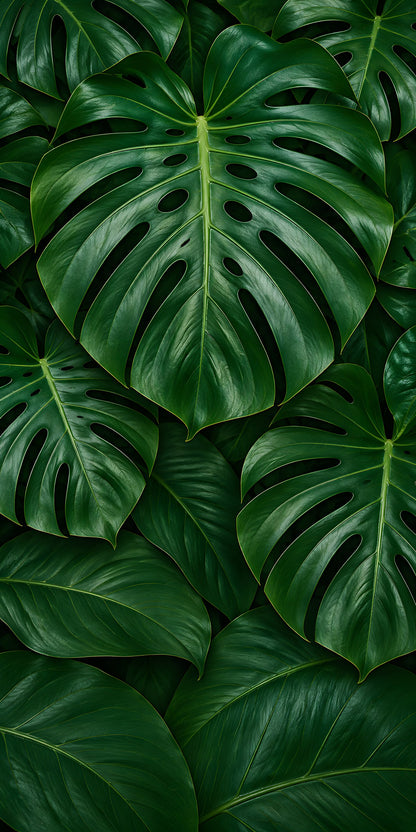 Monstera Leaves fridge wrap full design