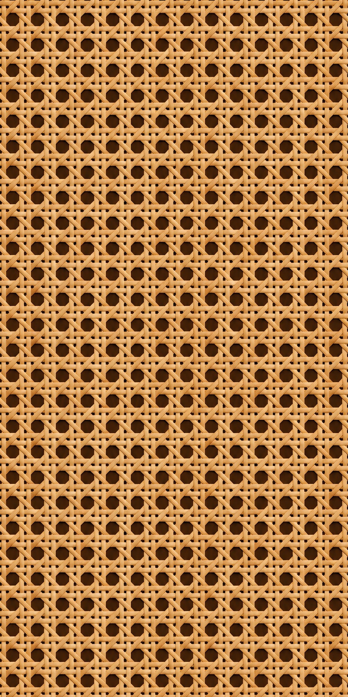 Rattan Cane fridge wrap full design