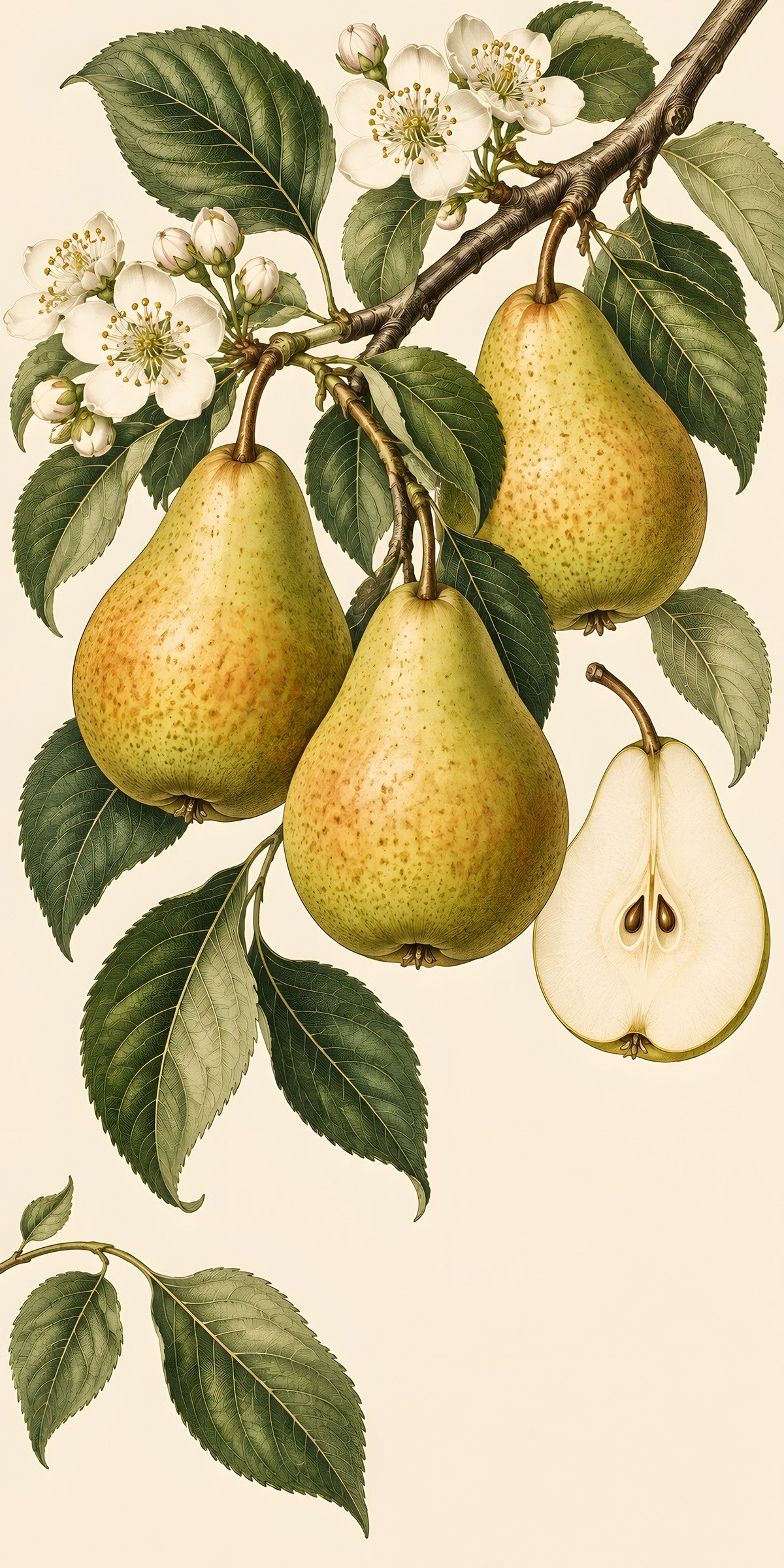 Vintage Pear Botanical fridge wrap full design